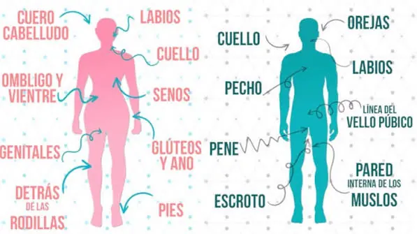 Map of erogenous zones of the female and male body: neck, lips, chest, buttocks, thighs, feet